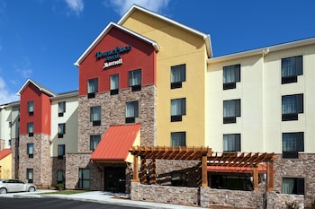 Pet Friendly Towneplace Suites Nashville Airport in Nashville, Tennessee