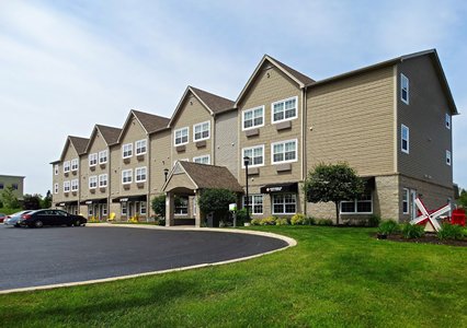 Pet Friendly Quality Inn & Suites Amsterdam in Quispamsis, New Brunswick