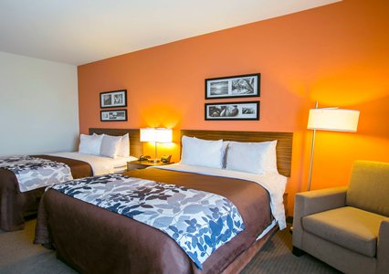 Pet Friendly Hotels In Austin Texas Accepting Dogs And Cats