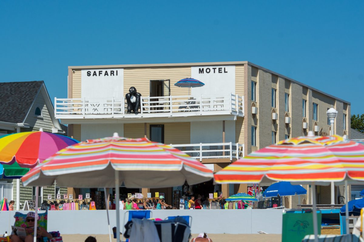 Pet Friendly Hotels in Ocean City, Maryland accepting Dogs and Cats