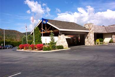 Pet Friendly Hotels In Blue Ridge Mountains And Lodgings Accepting Dogs ...